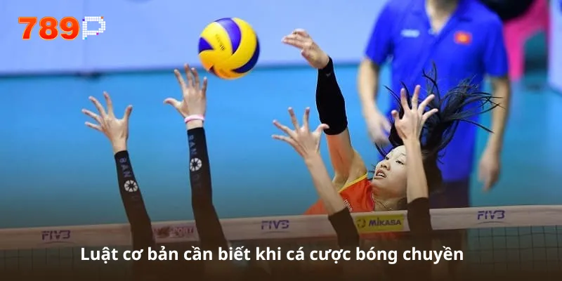 Luật cơ bản cần biết khi cá cược bóng chuyền